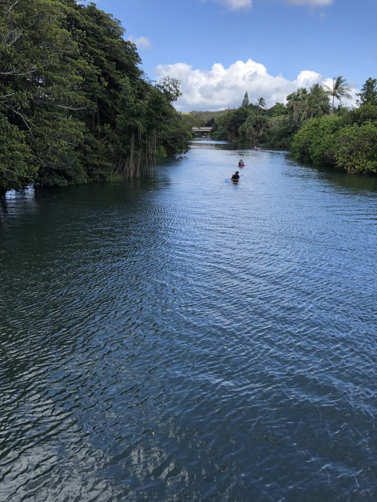 The Anahulu River is calm but it can get windy around some of the turns. 