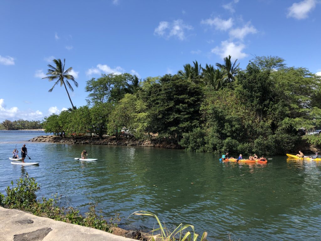 The Anahulu River in Haleiwa is perfect for kayaking. This river is also really good for standup padding. 