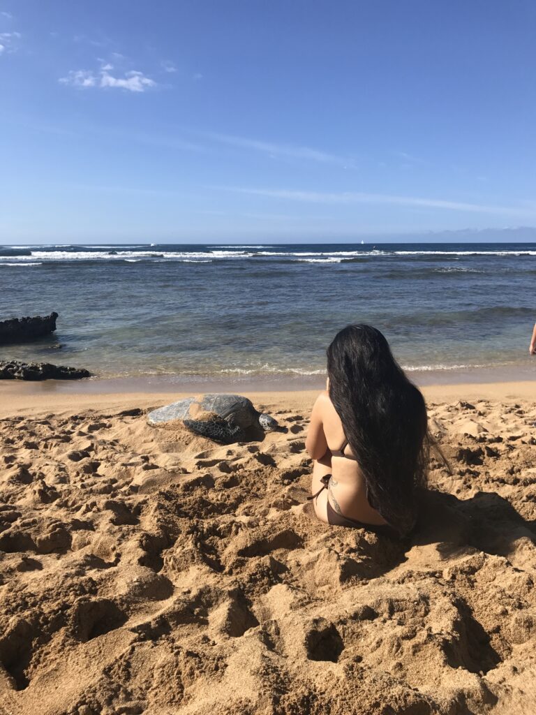 Its always nice to see turtles while in Haleiwa but please do not touch them. 