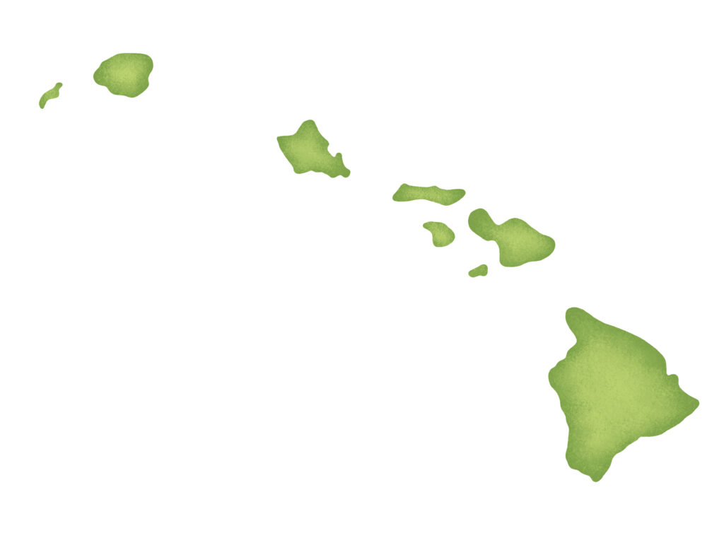 The Big Island is the largest island in the Hawaiian Chain. 