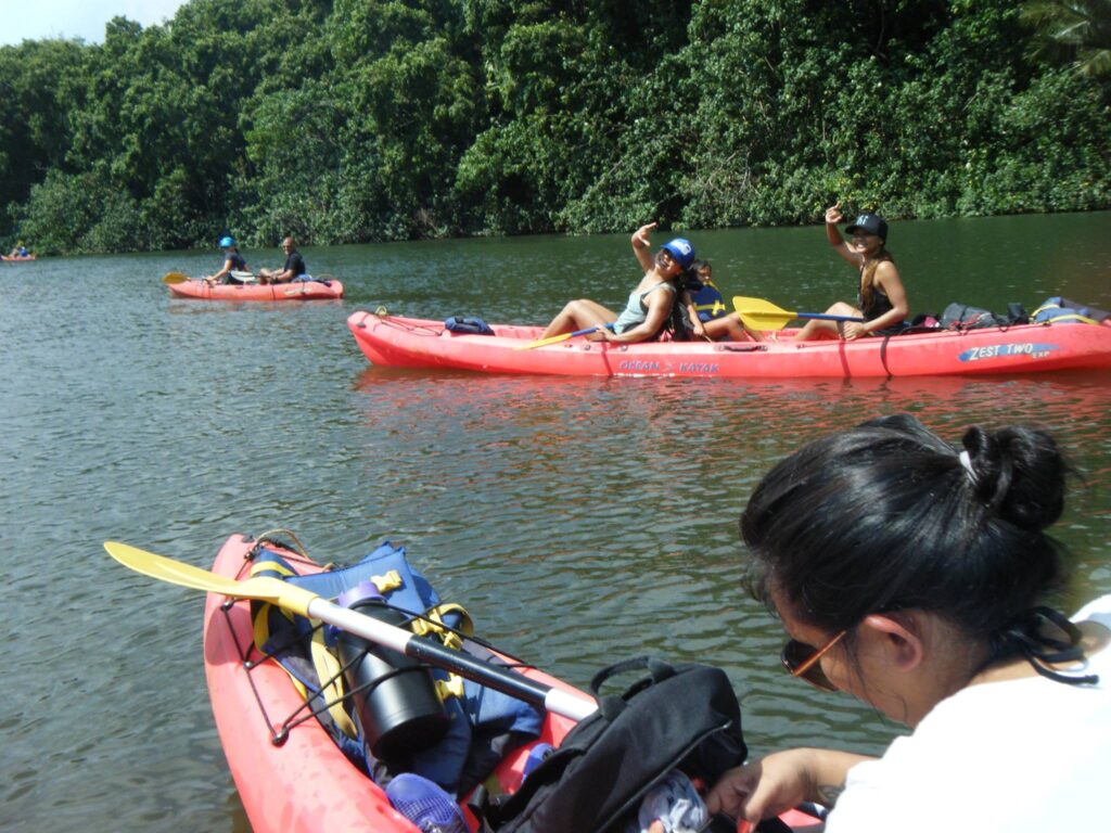 If you are feeling frumpy and need to get out and exercise, kayak the Wailua River. A 45 minute paddle will get you to the secret falls island. 