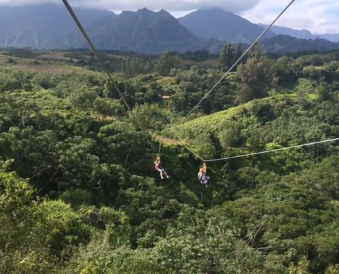 Why not zipline over the lush green vegetation over the Kauai rainforest. 