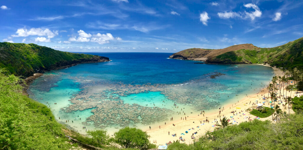 You'll see lots of fish and marine life at Hanauma Bay. If you have kids, this should be one of the things to do while on Oahu.