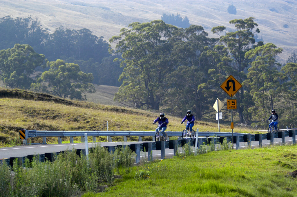 Get your exercise on and bike your way down the Haleakala Crater. The views are gorgeous. 