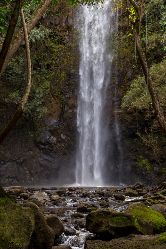 One of my favorite places to go whenever I'm on Kauai is Secret Falls. I love swimming around in the cold water. 