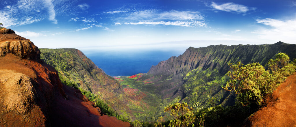 The Kalalau Lookout is breathtaking. If you made it up to Waimea Canyon, you may as well drive a little more and find Kalalau. 