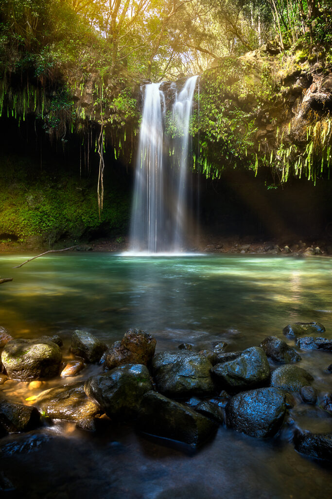 Twin falls on the Island of Maui is beautiful. Instead of driving the long and dangerous Hana Highway, spend your time here instead. 