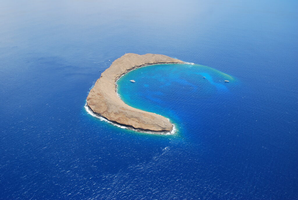 Molokini located off the South of Maui is amazing for snorkeling. You will see an abundance of fish.